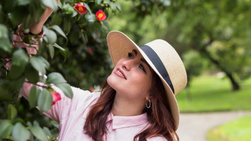 DrzewkaOgrodowe.pl – Twój Sklep z Drzewkami Owocowymi